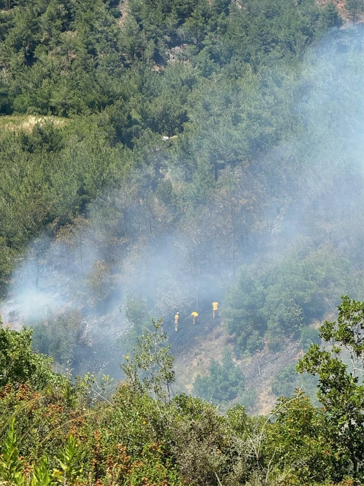 Hatay'ın Arsuz ilçesinde çıkan orman yangını kontrol altına alındı