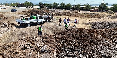 Akdeniz Meyve Sineğiyle Mücadele Sürüyor