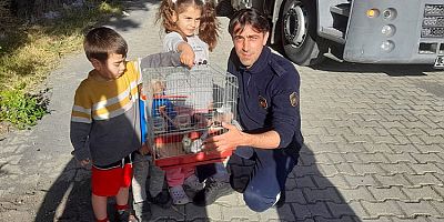 Arsuz’da kafesinden kaçan papağanı itfaiye yakaladı