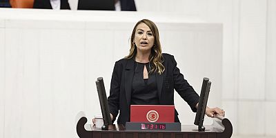 CHP Hatay Milletvekili Nermin Yıldırım Kara: Çek ibraz sürelerini uzatın