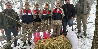 Hatay’da Jandarmanın Şefkatli Eli Bu Kez Sahipsiz Hayvanlara Uzandı