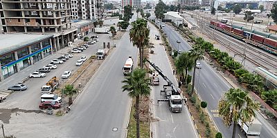 HBB’den Ağaçlara Yeni Yaşam Alanı
