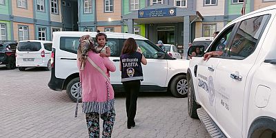 HBB Ekipleri İl Genelinde Dilencilere Geçit Vermiyor