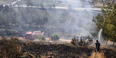 İskenderun'da çıkan orman yangını kontrol altına alındı