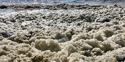 İskenderun Teknik Üniversitesi’nden Körfezdeki Kahverengi Tabakaya Bilimsel İnceleme