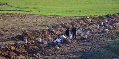 Mezar taşlarına isim yerine numara yazılıyor
