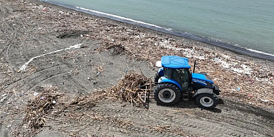 Samandağ’da Deniz Kaplumbağaları Koruma Altına Alındı