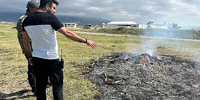 Samandağ'da kuş cennetinde avcılığa karşı önlemler arttırıldı