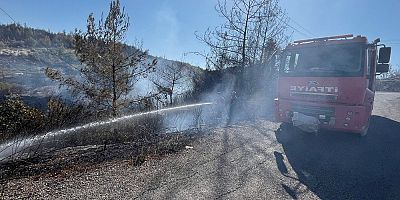 Yayladağı’ndaki Orman Yangını Kontrol Altına Alındı